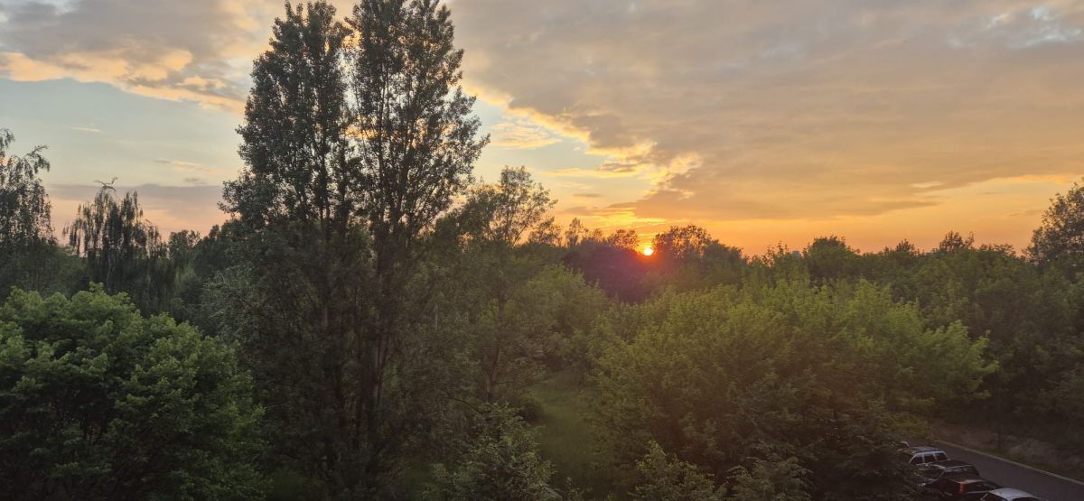 Warszawa · ul. Stryjeńskich — 12