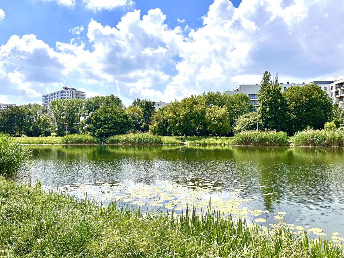 Warszawa · al. Aleja Stanów Zjednoczonych — 12