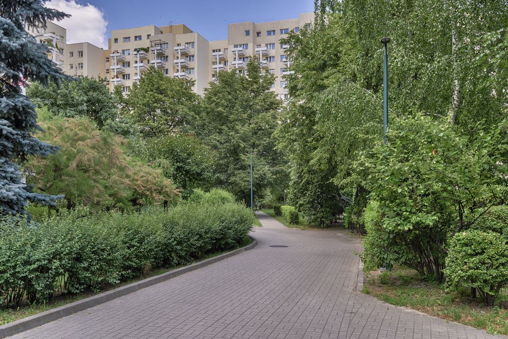 Warszawa · ul. Dzika — 24