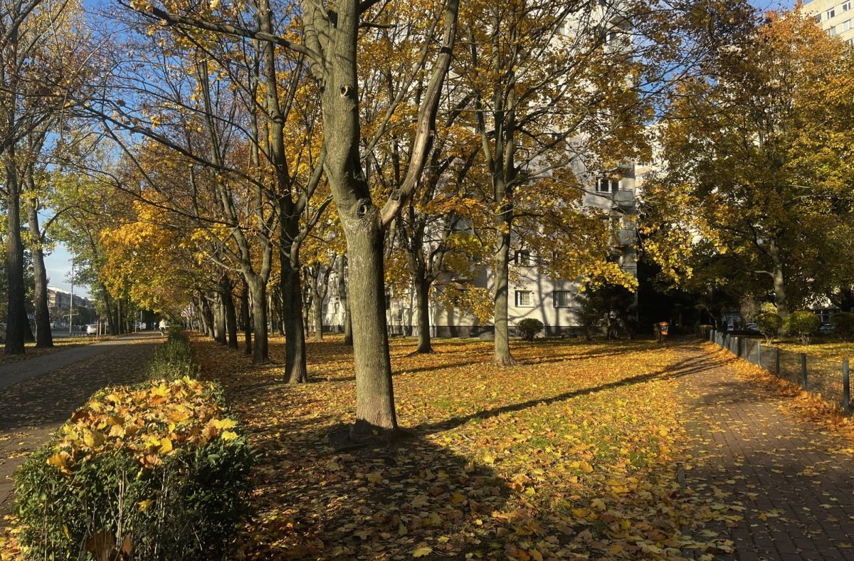 Warszawa · ul. Czerniakowska — 9