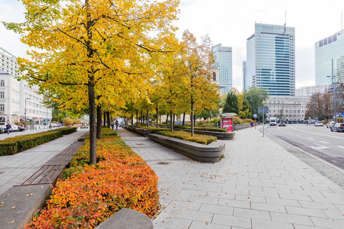 Warszawa · pl. Plac Grzybowski — 12