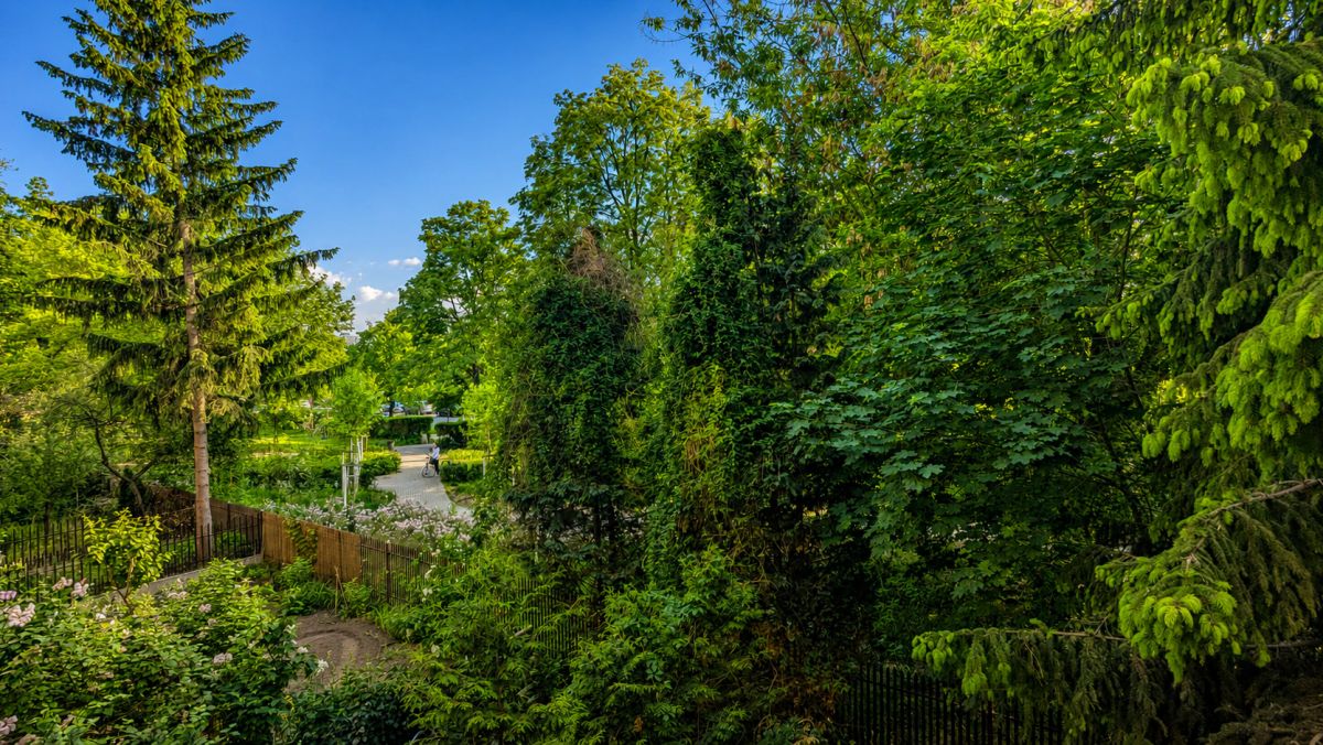 Warszawa · ul. Kinowa — 8