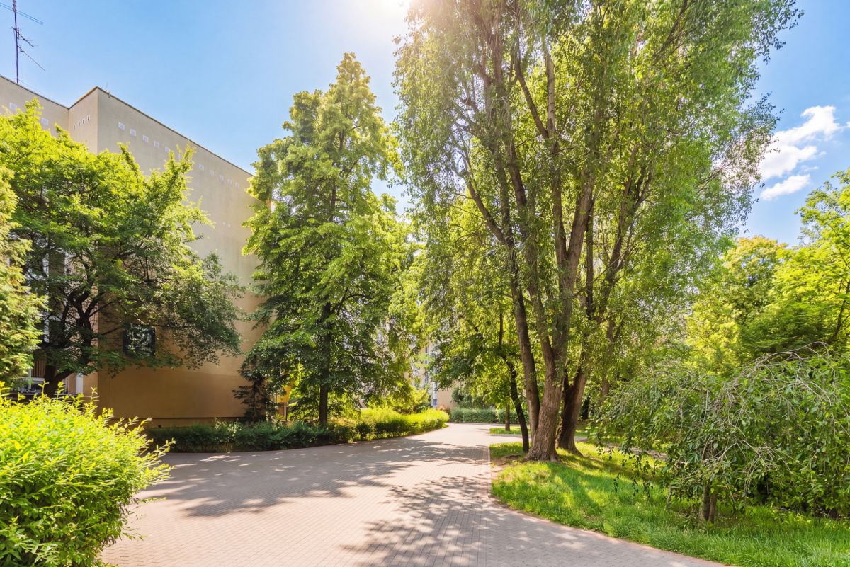 Warszawa · ul. Puszczyka — 15