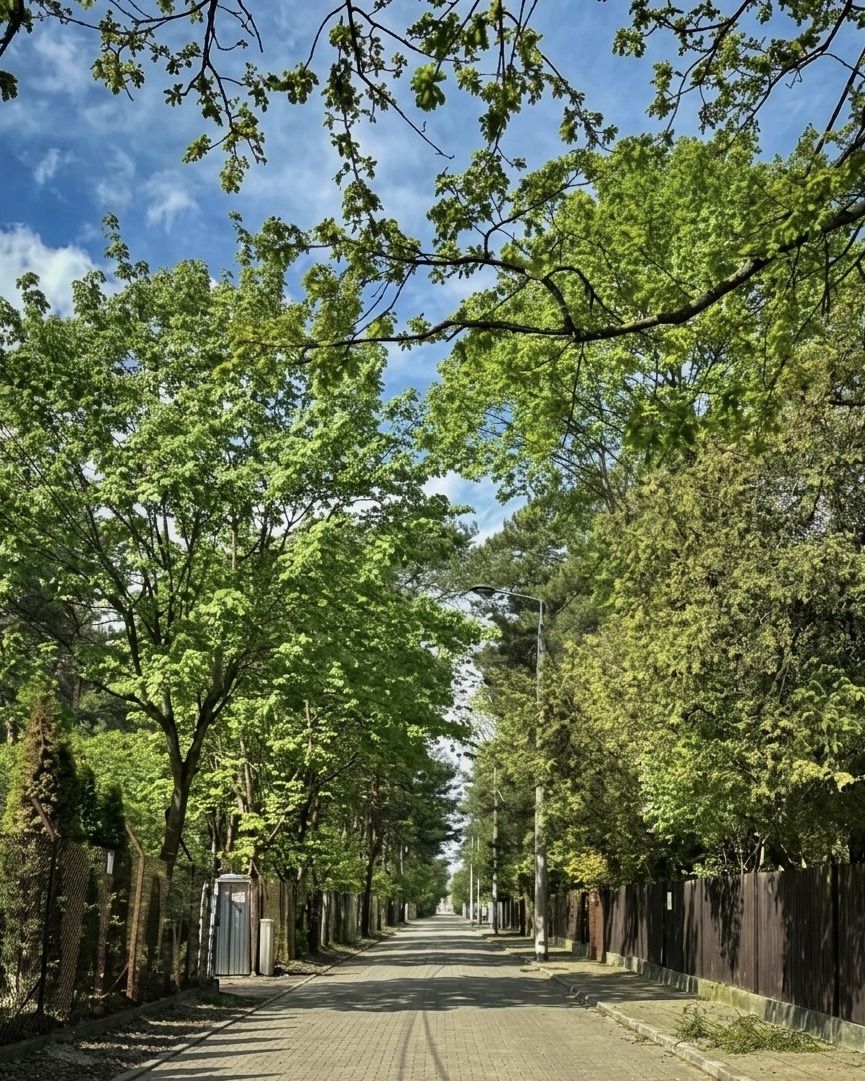 Warszawa · ul. Borkowska — 18
