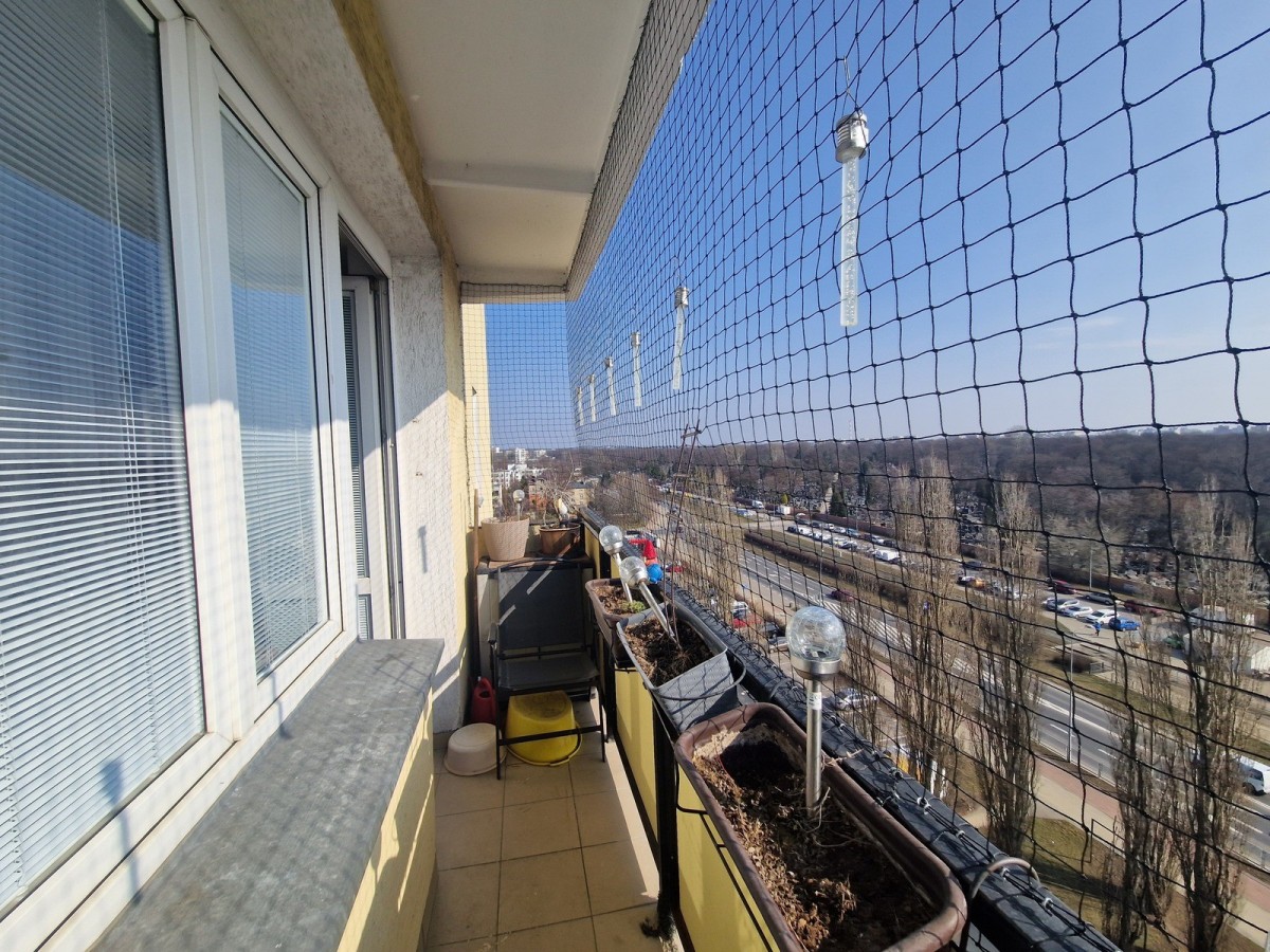 Warszawa · ul. Piotra Wysockiego — 13