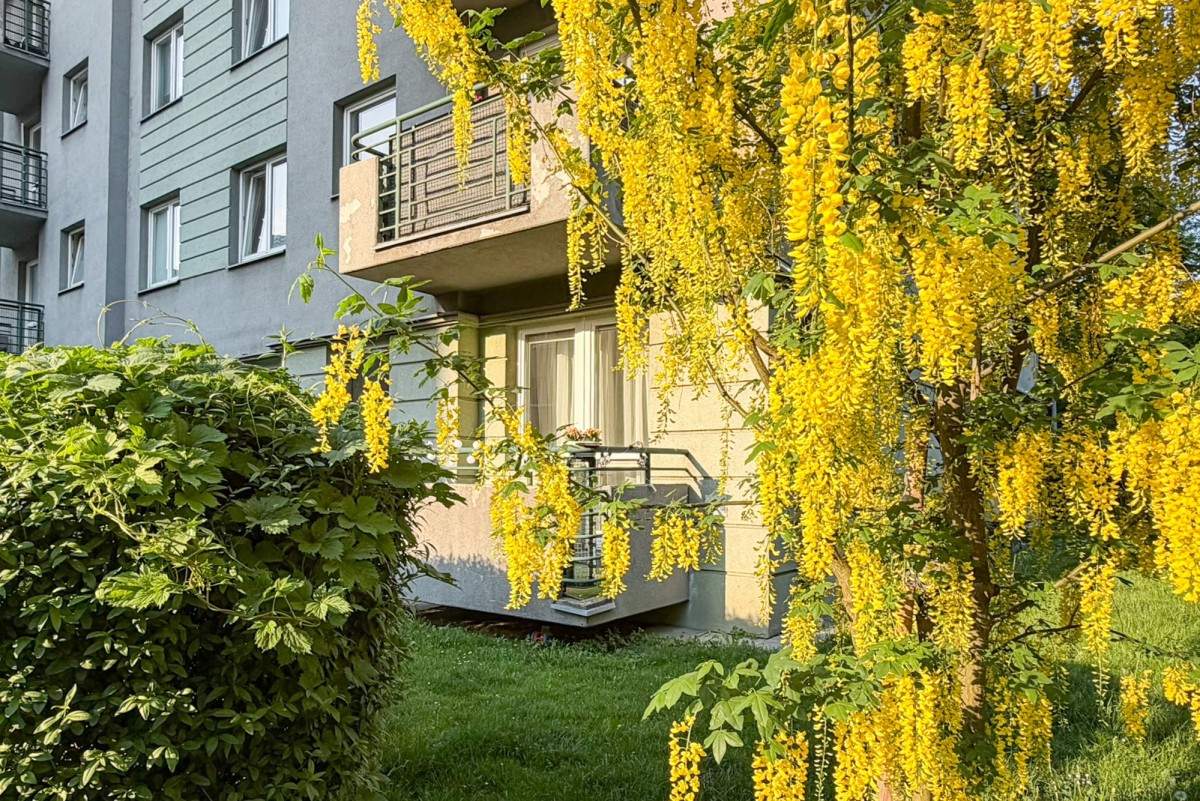 Warszawa · ul. Niewielka — 22