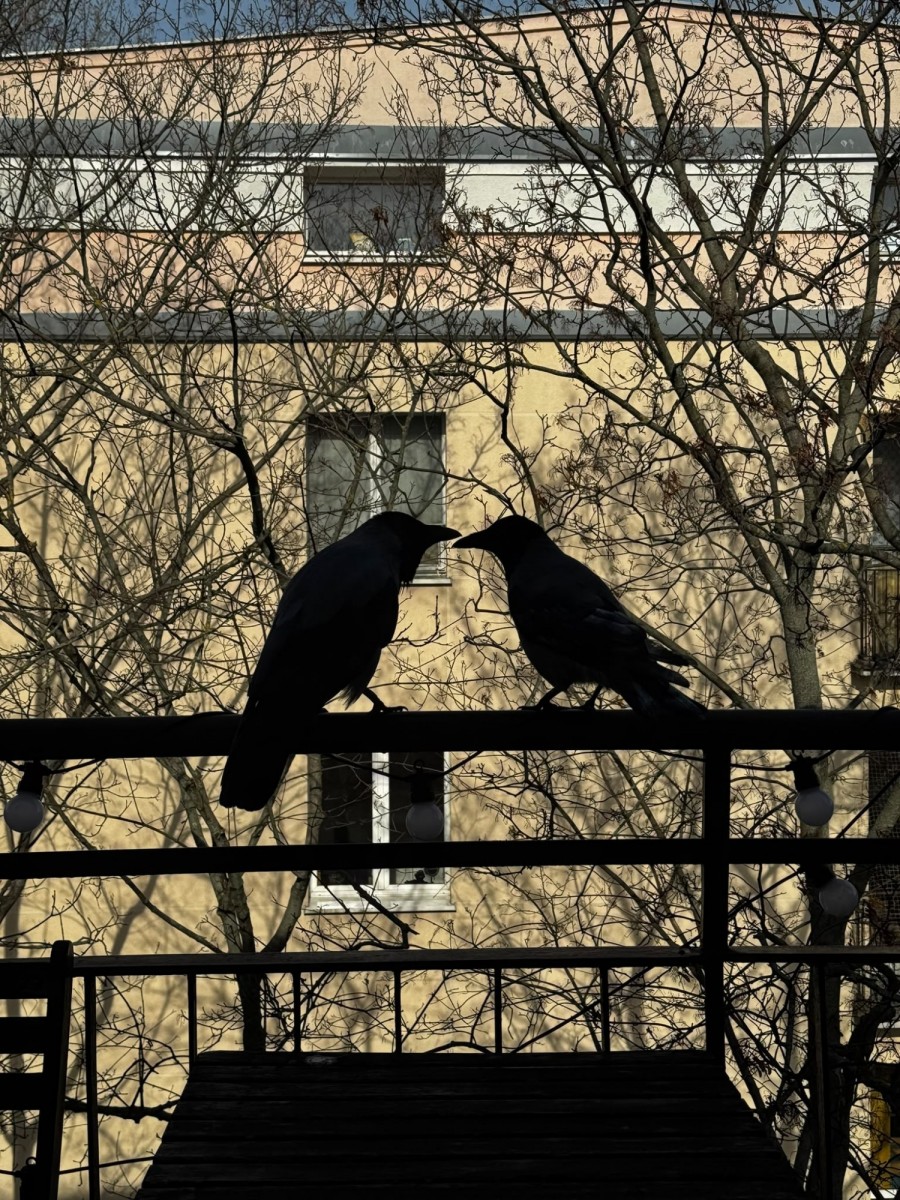 Warszawa · ul. Międzynarodowa — 15