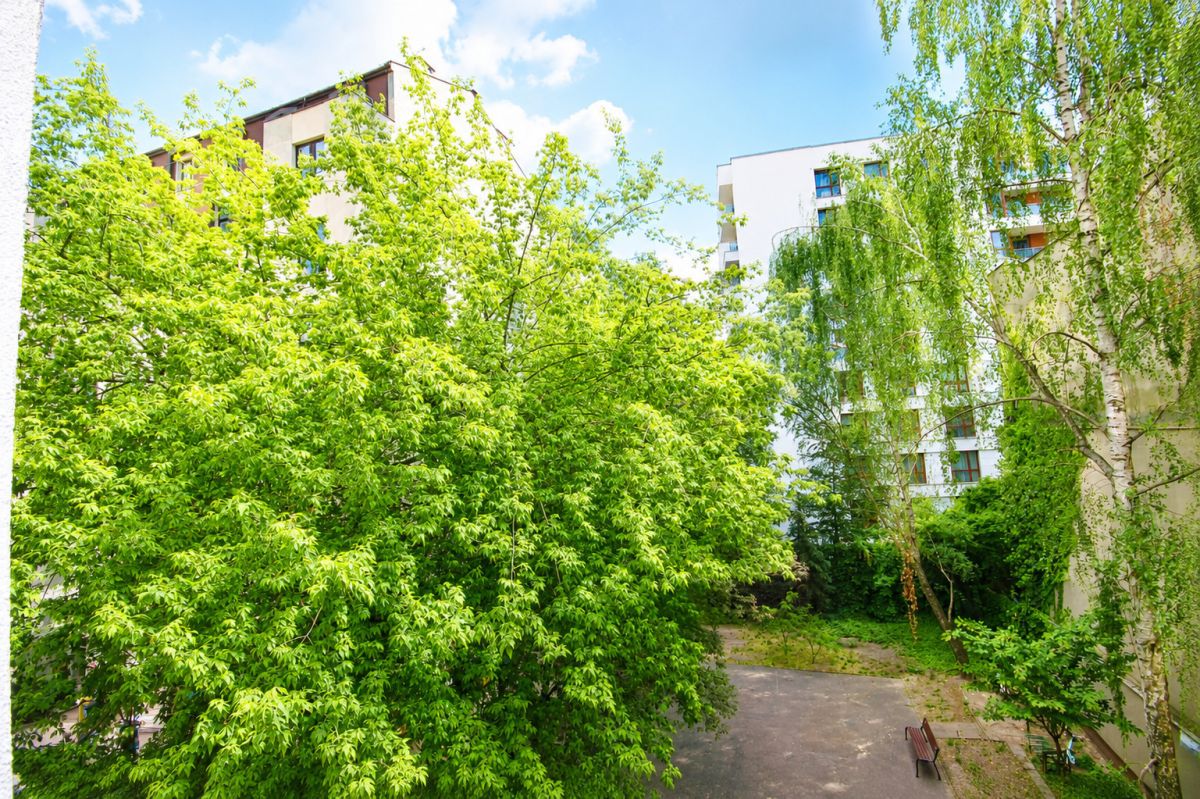 Warszawa · ul. Ogrodowa — 24