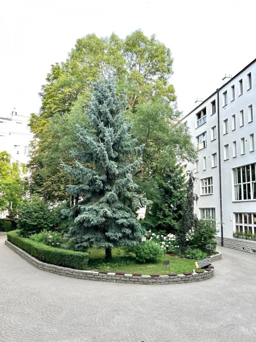 Warszawa · ul. Filtrowa — 33