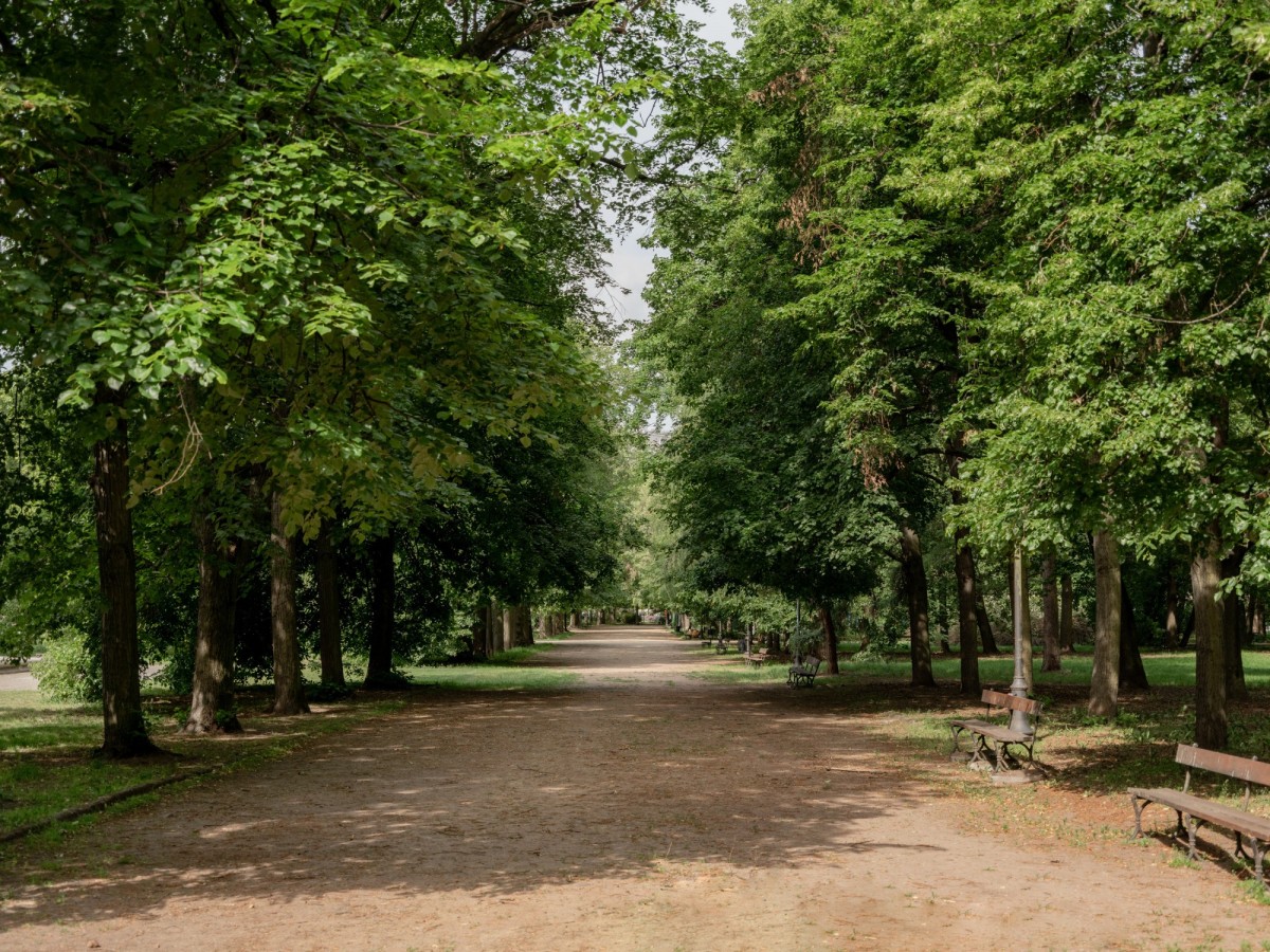 Warszawa · Śródmieście — 13