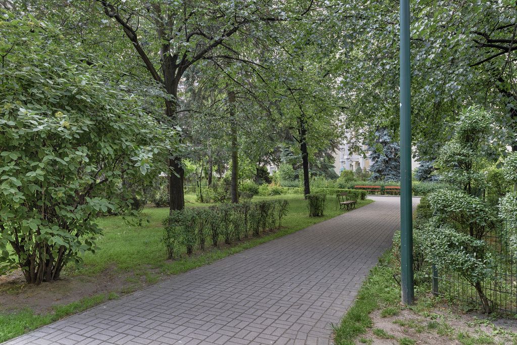 Warszawa · ul. Dzika — 22