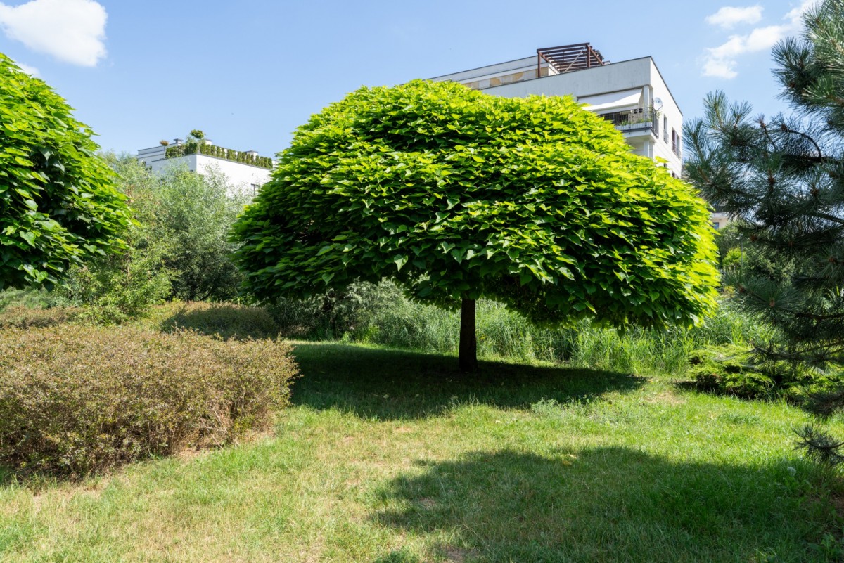 Warszawa · ul. Prymasa Augusta Hlonda — 22