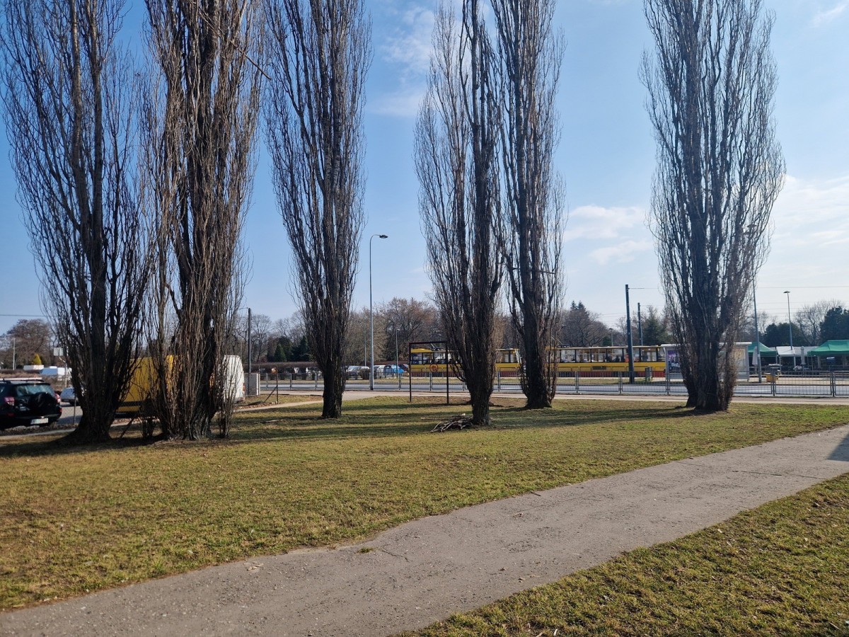 Warszawa · ul. Piotra Wysockiego — 2