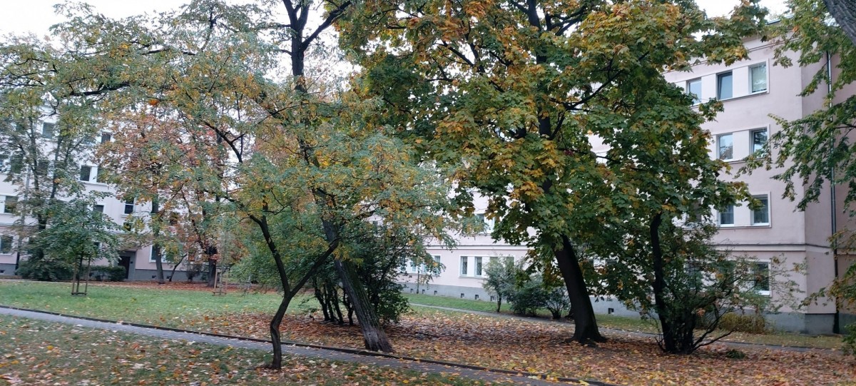 Warszawa · ul. Władysława Skoczylasa — 3