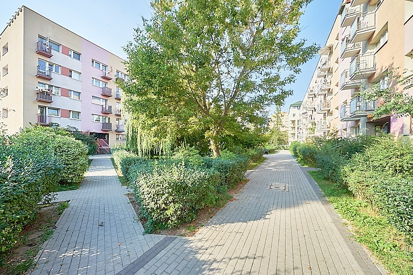 Warszawa · ul. Stefana Baleya — 8