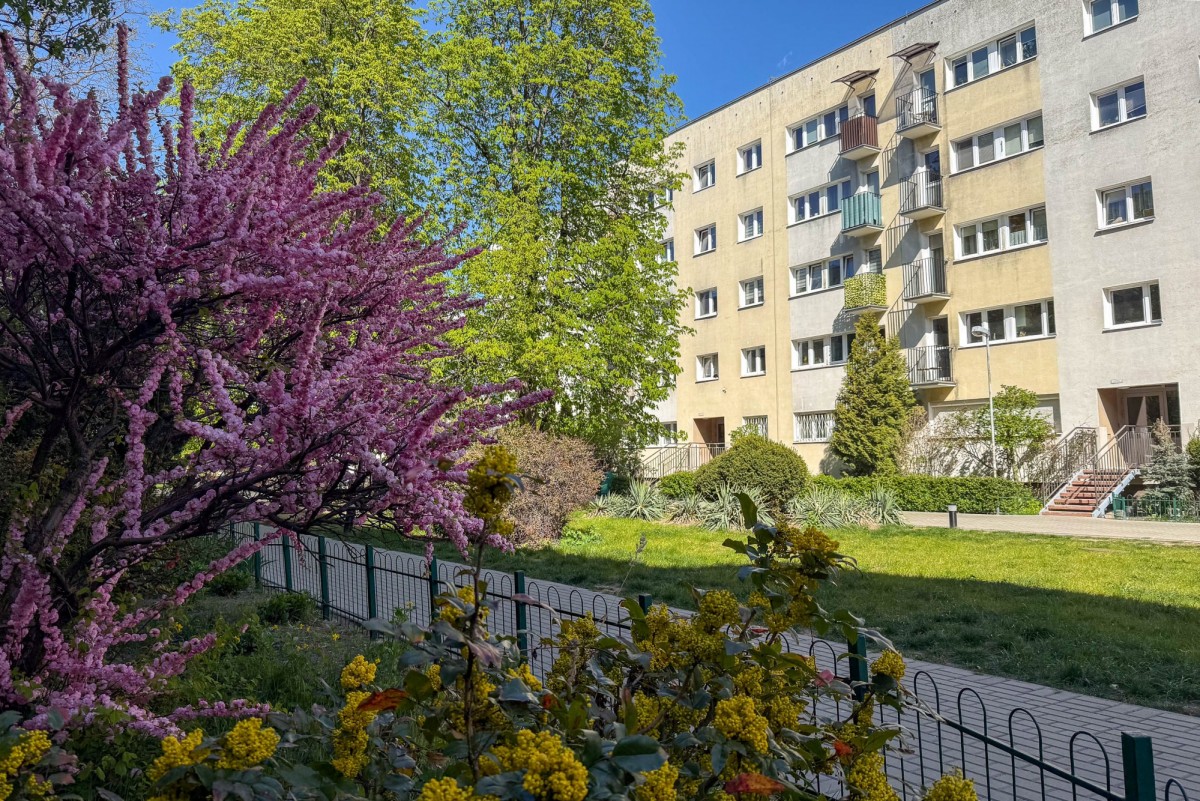 Warszawa · ul. Jana Kochanowskiego — 24