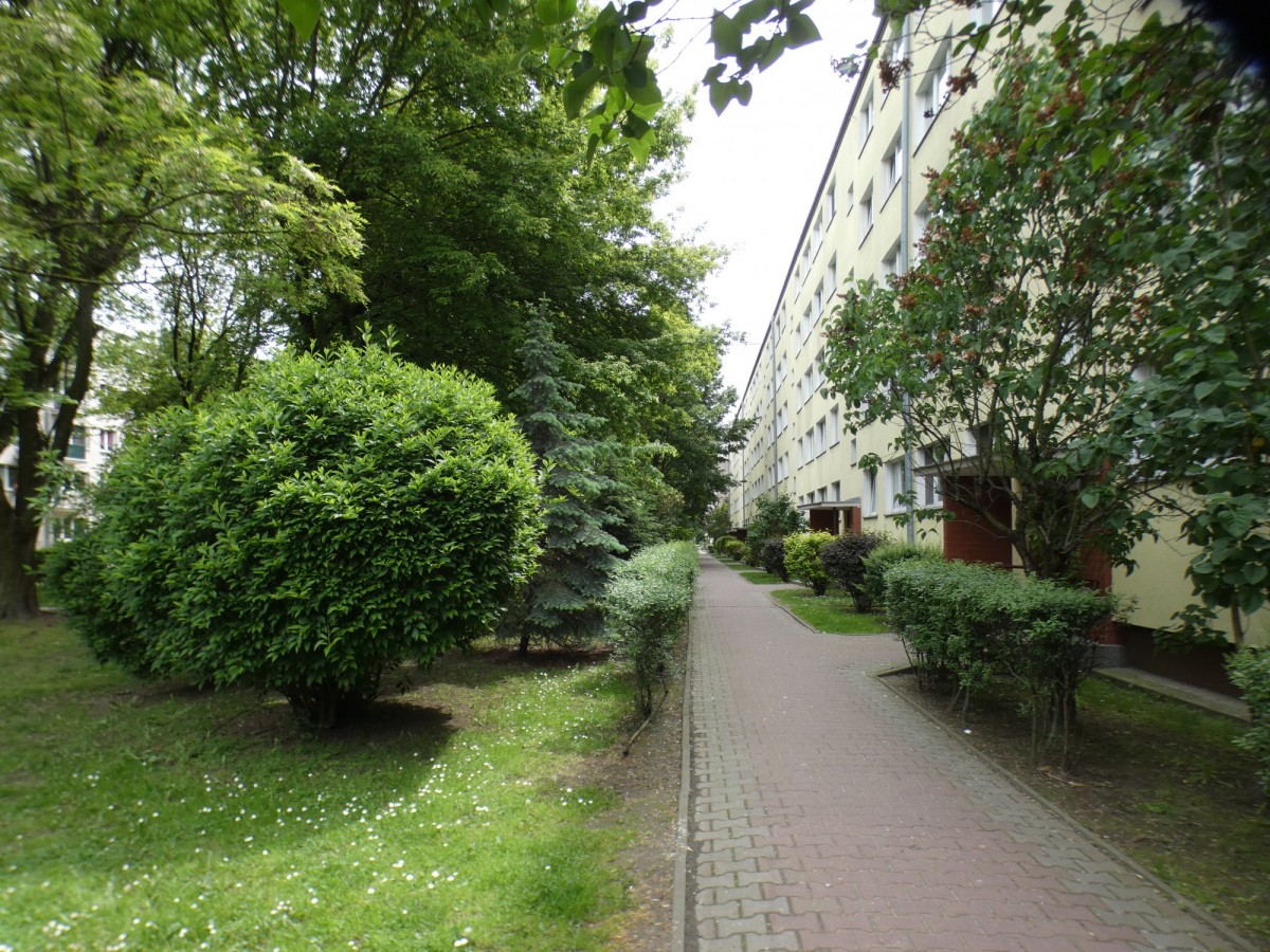 Warszawa · ul. Warszawska — 19