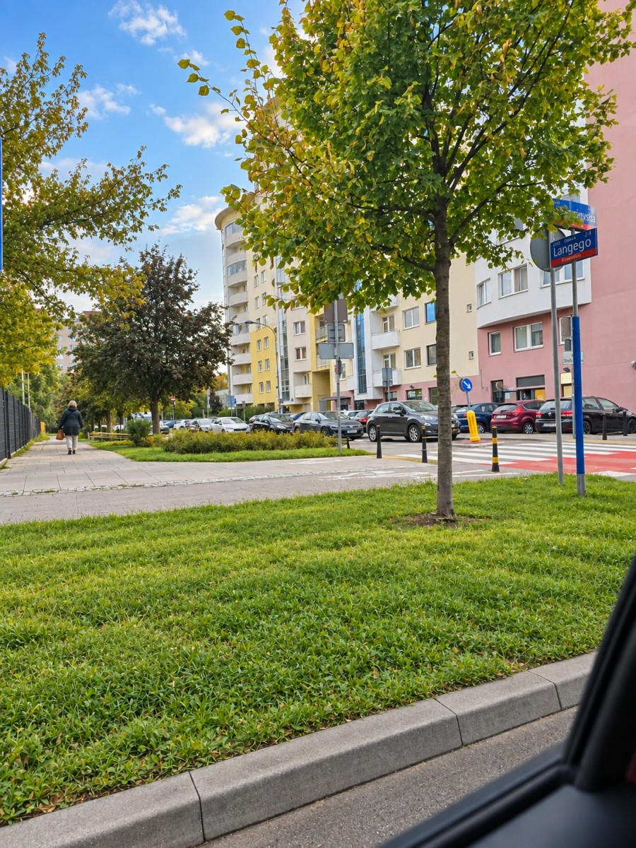 Warszawa · ul. Domaniewska — 9
